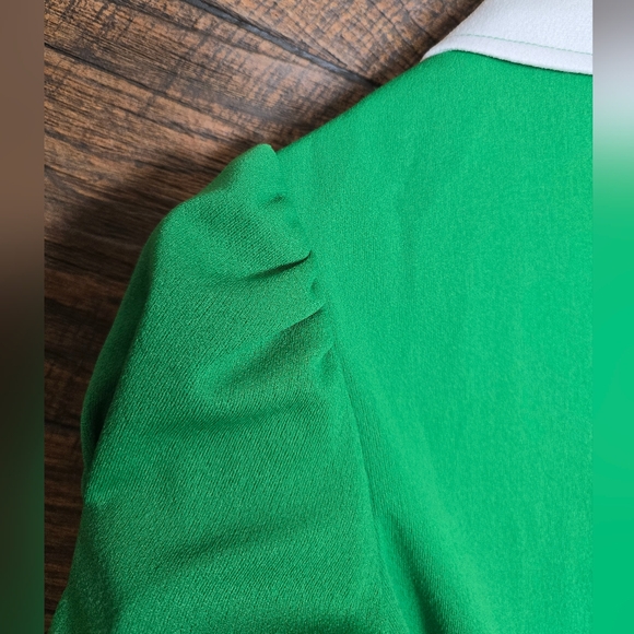 VNTG Handmade Green Collared Button Down Dress STUNNING Floral Detail - Picture 6 of 13